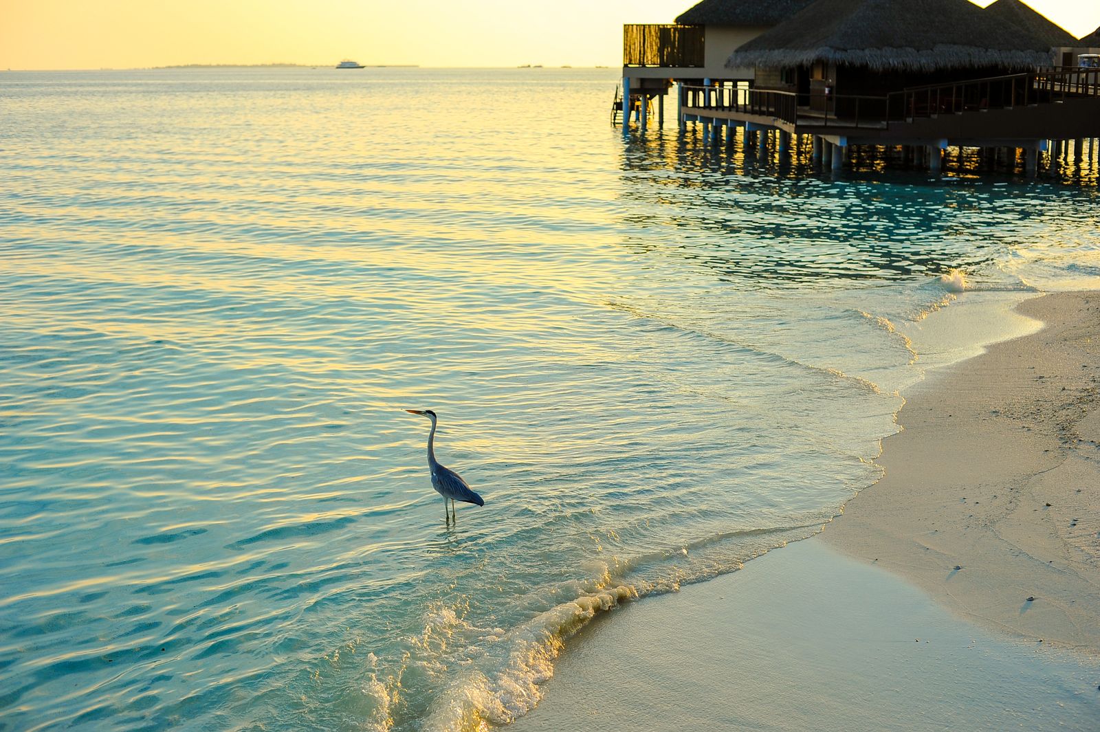 Representative Maldives scenery — not photography of Le Méridien Maldives Resort & Spa