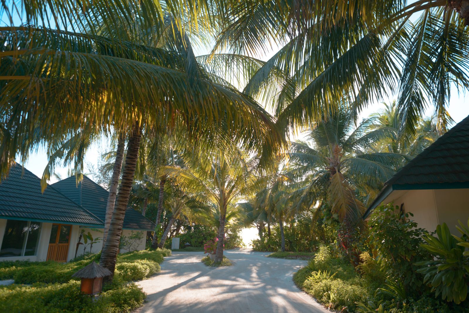 Representative Maldives scenery — not photography of The Westin Maldives Miriandhoo Resort